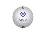 MoLo Titleist Pro V1 Golf Balls - 1 Dozen | Shop Accessories at ArcBest® Company Store
